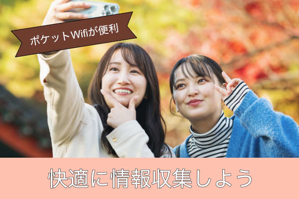 快適に情報収集しよう